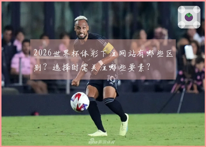 2026世界杯体彩下注网站有哪些区别？选择时需关注哪些要素？