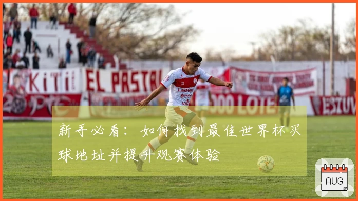 新手必看：如何找到最佳世界杯买球地址并提升观赛体验
