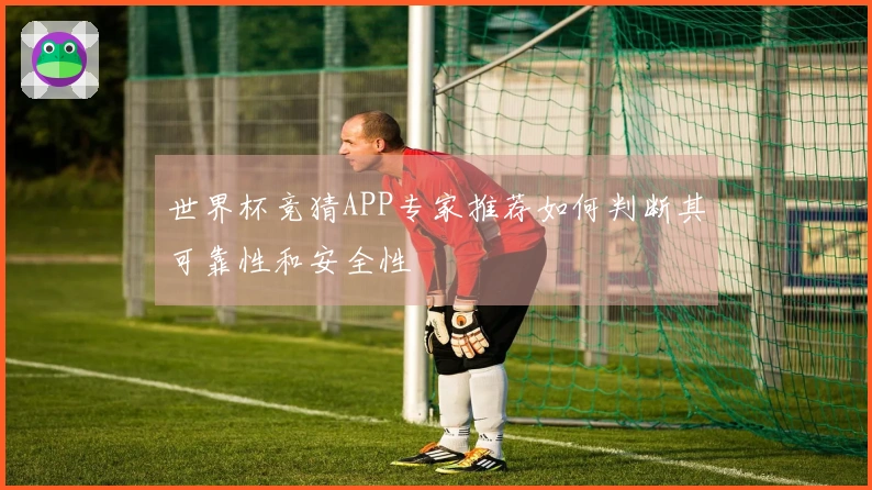 世界杯竞猜APP专家推荐如何判断其可靠性和安全性