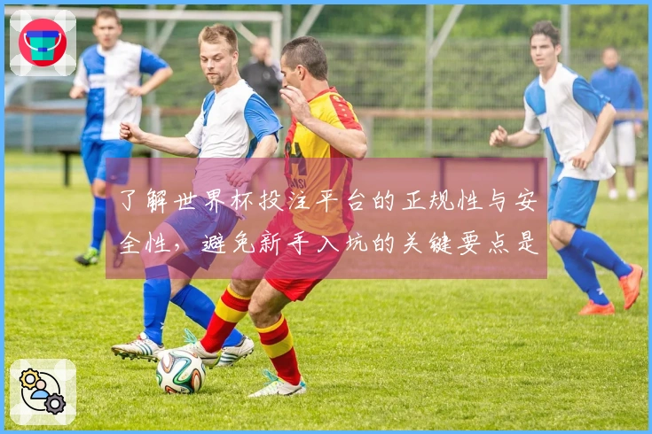 了解世界杯投注平台的正规性与安全性，避免新手入坑的关键要点是什么