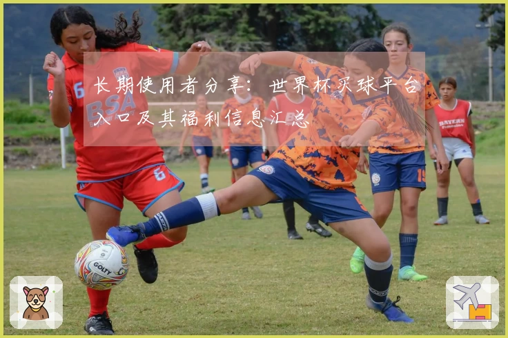 长期使用者分享：世界杯买球平台入口及其福利信息汇总