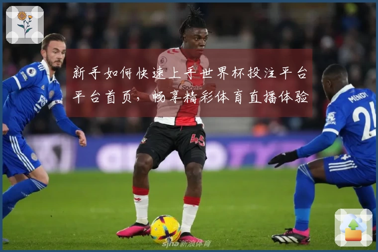 新手如何快速上手世界杯投注平台平台首页，畅享精彩体育直播体验