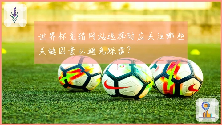 世界杯竞猜网站选择时应关注哪些关键因素以避免踩雷？