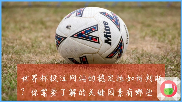 世界杯投注网站的稳定性如何判断？你需要了解的关键因素有哪些