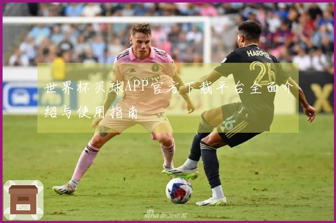 世界杯买球APP官方下载平台全面介绍与使用指南