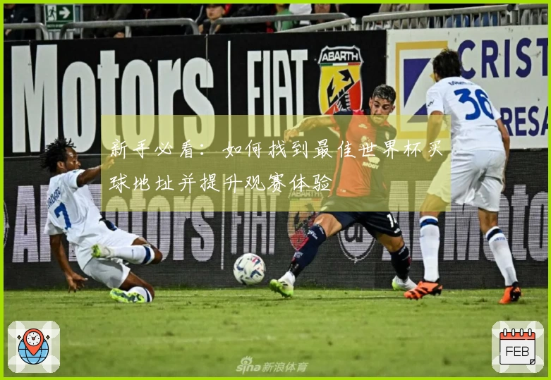 新手必看：如何找到最佳世界杯买球地址并提升观赛体验