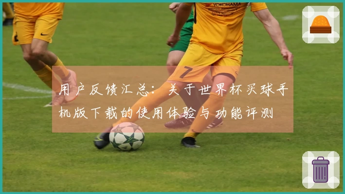 用户反馈汇总：关于世界杯买球手机版下载的使用体验与功能评测