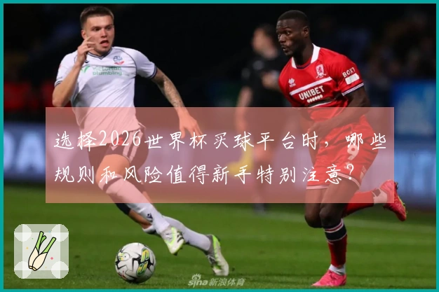 选择2026世界杯买球平台时，哪些规则和风险值得新手特别注意？