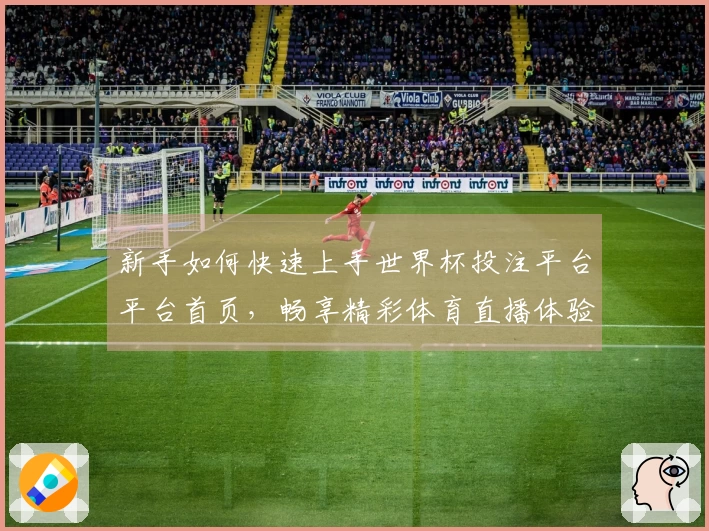 新手如何快速上手世界杯投注平台平台首页，畅享精彩体育直播体验