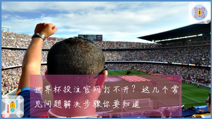 世界杯投注官网打不开？这几个常见问题解决步骤你要知道