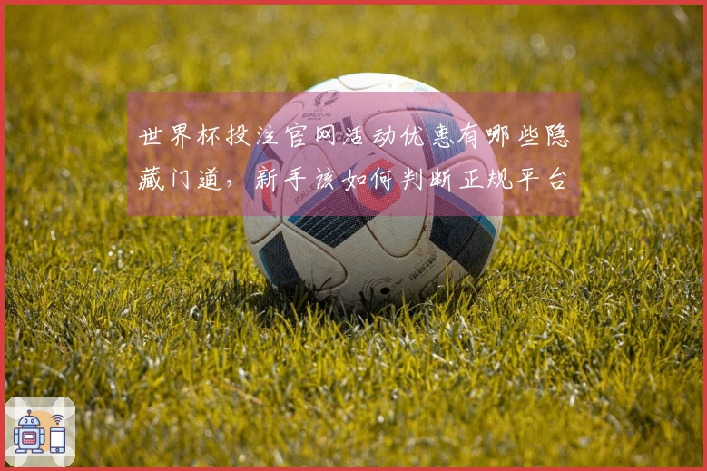 世界杯投注官网活动优惠有哪些隐藏门道，新手该如何判断正规平台