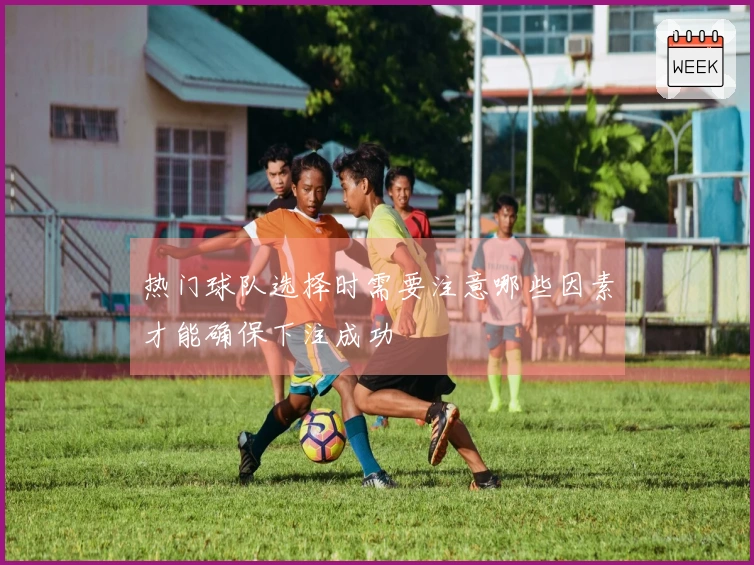热门球队选择时需要注意哪些因素才能确保下注成功
