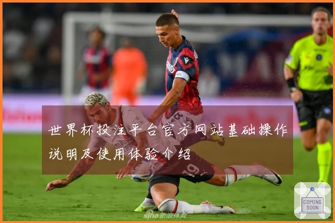世界杯投注平台官方网站基础操作说明及使用体验介绍