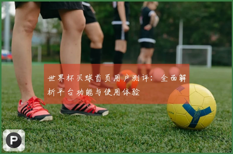 世界杯买球首页用户测评：全面解析平台功能与使用体验