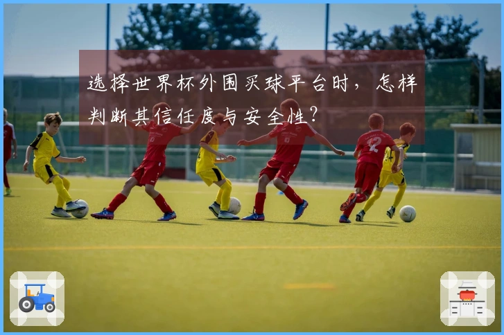 选择世界杯外围买球平台时，怎样判断其信任度与安全性？