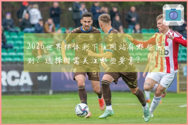 2026世界杯体彩下注网站有哪些区别？选择时需关注哪些要素？