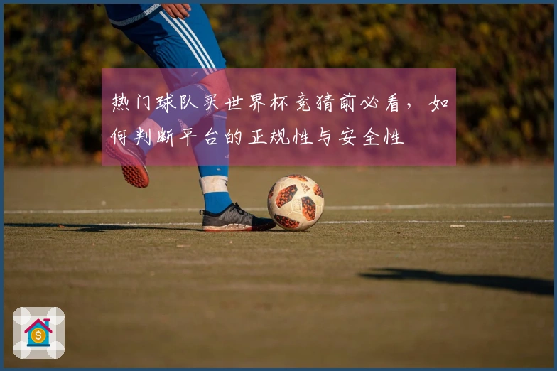 热门球队买世界杯竞猜前必看，如何判断平台的正规性与安全性