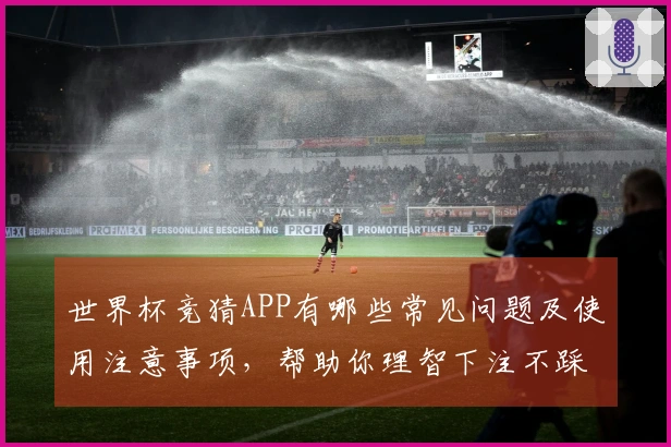 世界杯竞猜APP有哪些常见问题及使用注意事项，帮助你理智下注不踩雷
