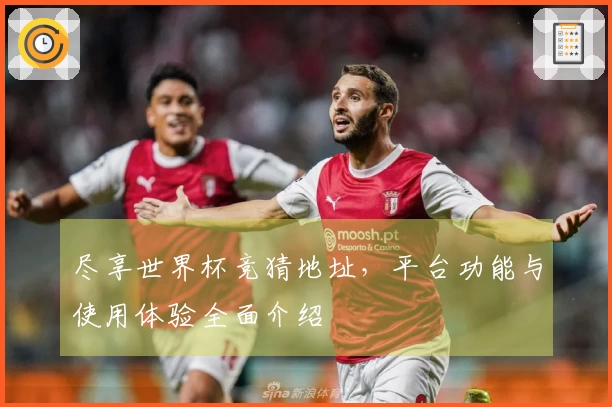 尽享世界杯竞猜地址，平台功能与使用体验全面介绍