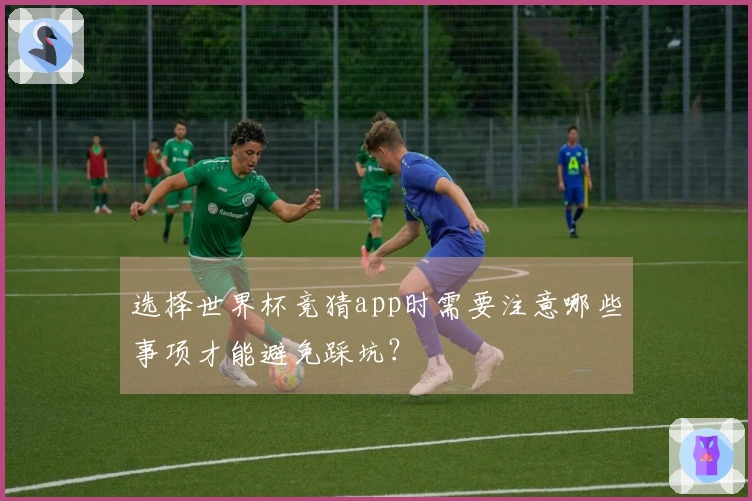 选择世界杯竞猜app时需要注意哪些事项才能避免踩坑？