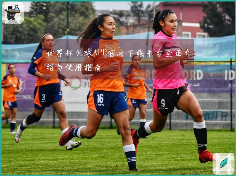 世界杯买球APP官方下载平台全面介绍与使用指南